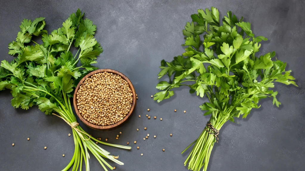 فوائد البقدونس