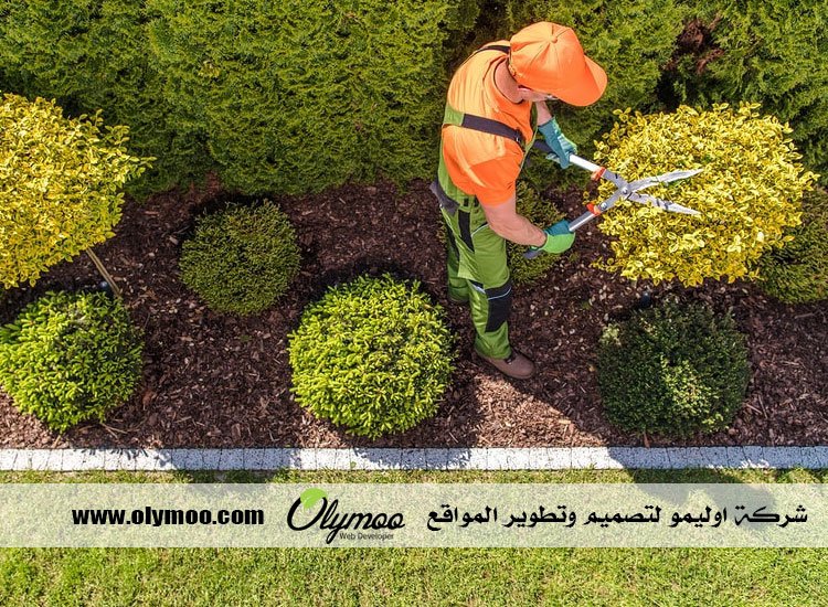 شركة تنسيق حدائق بالرياض 4 شركة تنسيق حدائق بالرياض