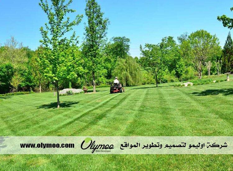 شركة تنسيق حدائق بالرياض 3 شركة تنسيق حدائق بالرياض