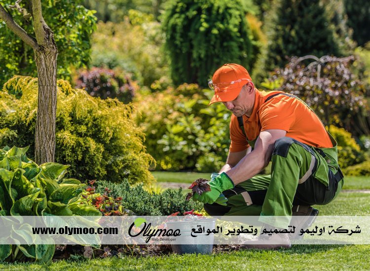 شركة تنسيق حدائق بالرياض