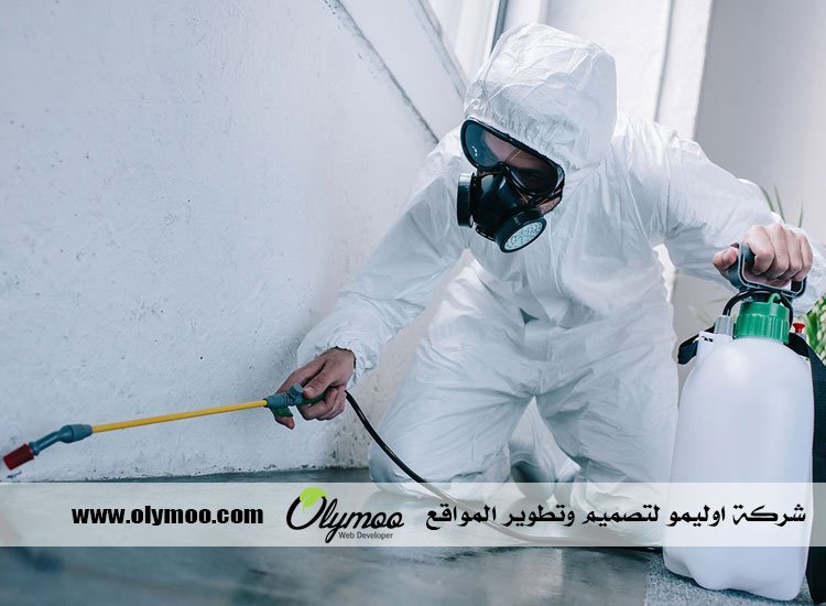شركة مكافحة حشرات بجدة