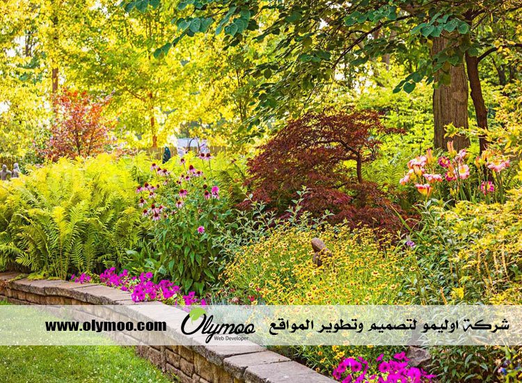 تركيب عشب صناعي بالرياض 3 تركيب عشب صناعي بالرياض