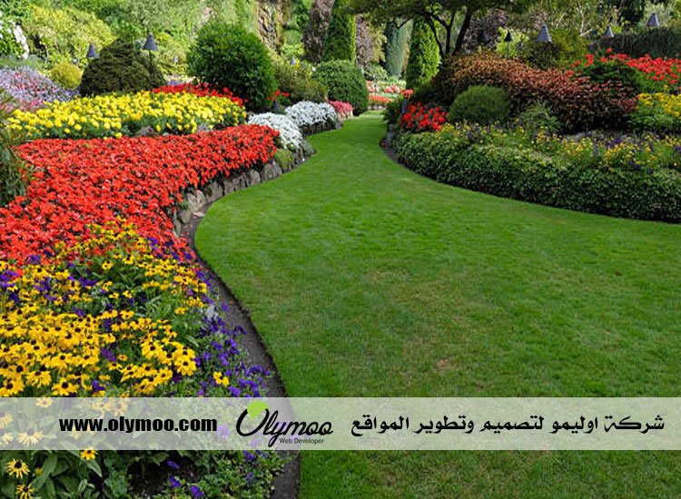 تنسيق حدائق | مجلة ست الحسن